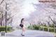 A woman walking down a street lined with cherry blossoms.